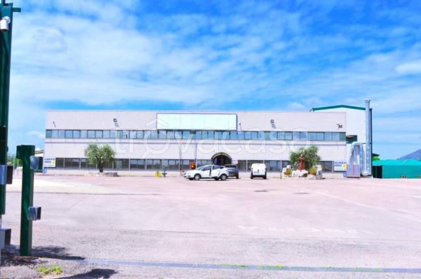 locale commerciale in affitto a Cassino