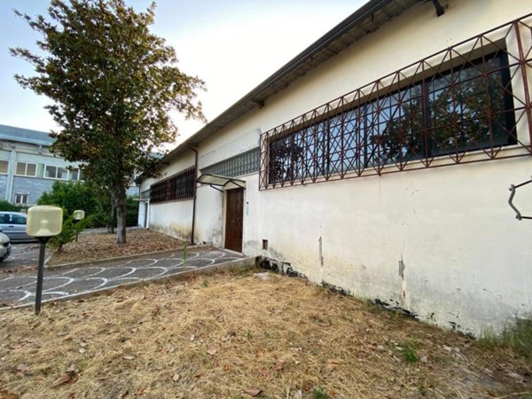 ufficio in affitto a Cassino