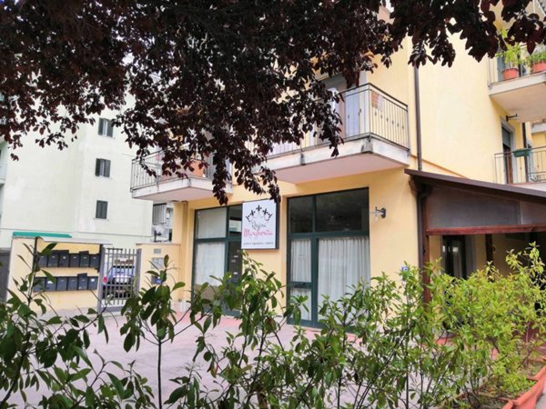 negozio in affitto a Cassino
