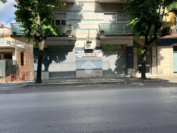 negozio in affitto a Cassino