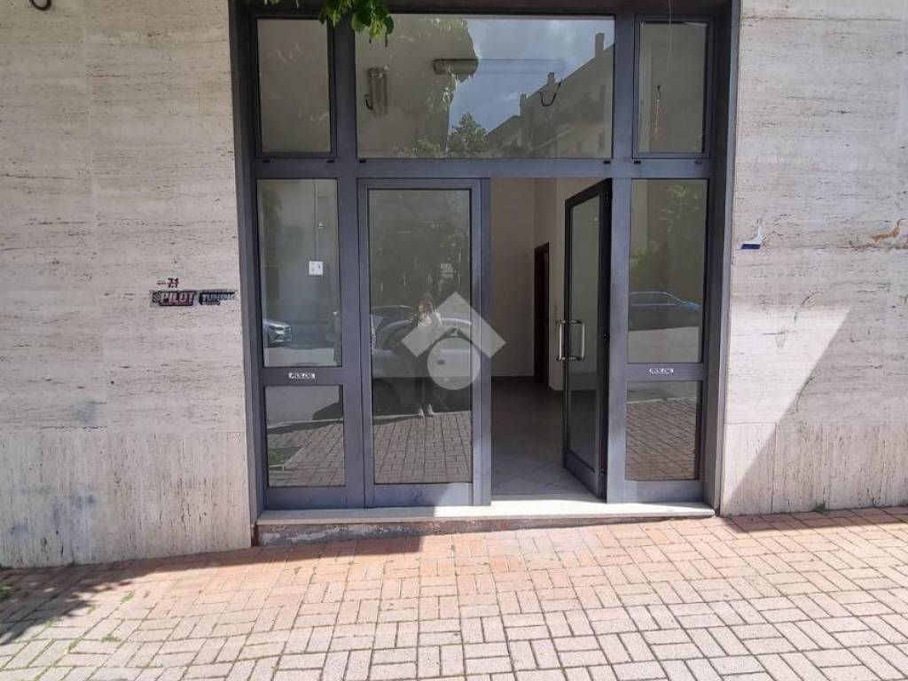 negozio in affitto a Cassino