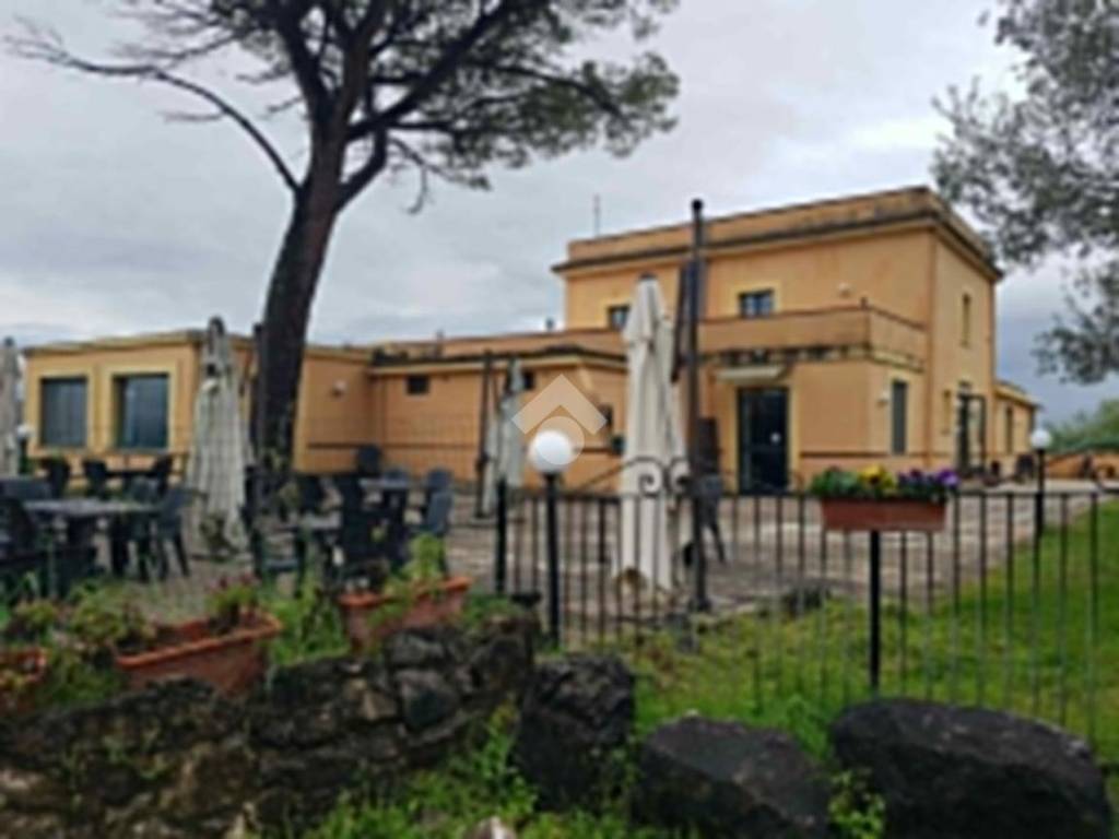 negozio in affitto a Cassino in zona Montecassino