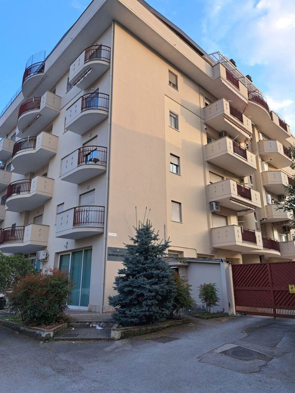 appartamento in affitto a Cassino
