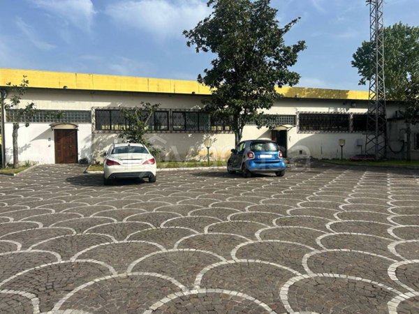 ufficio in affitto a Cassino
