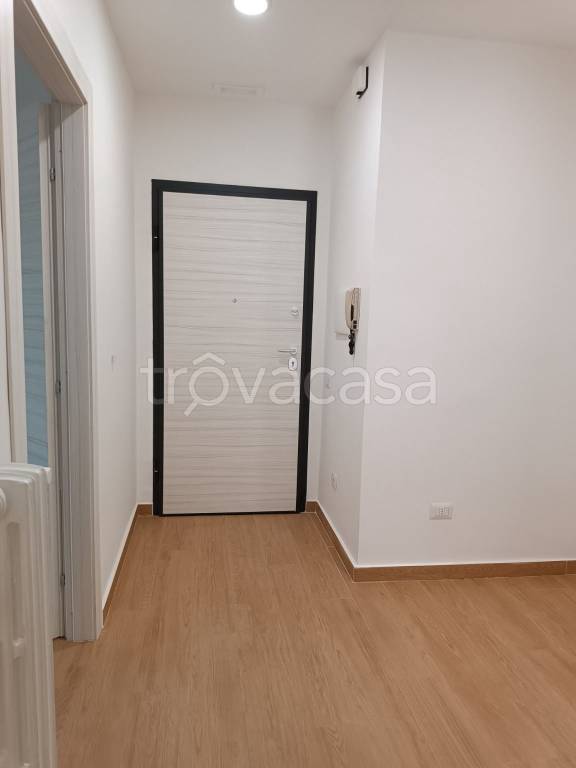appartamento in affitto a Cassino