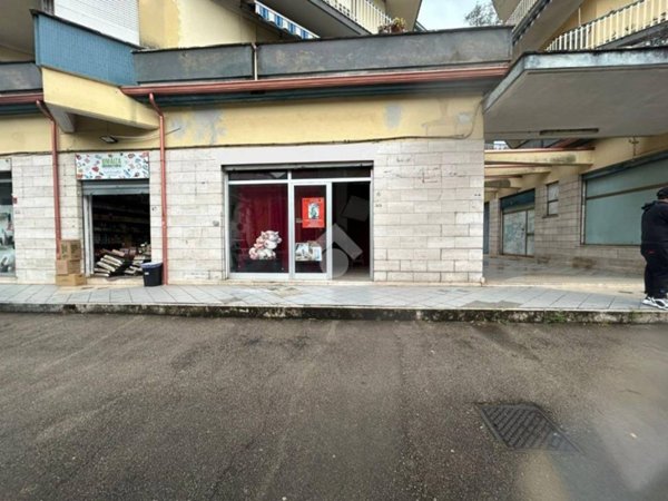 negozio in affitto a Cassino