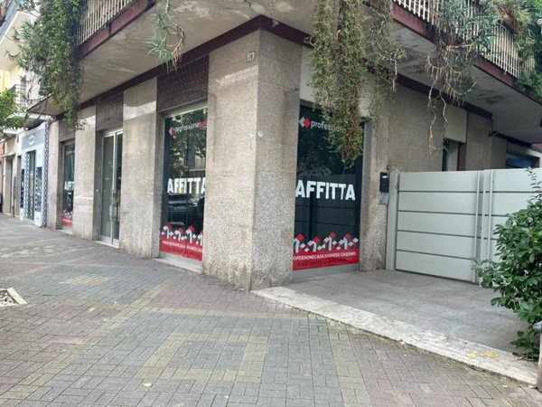 negozio in affitto a Cassino