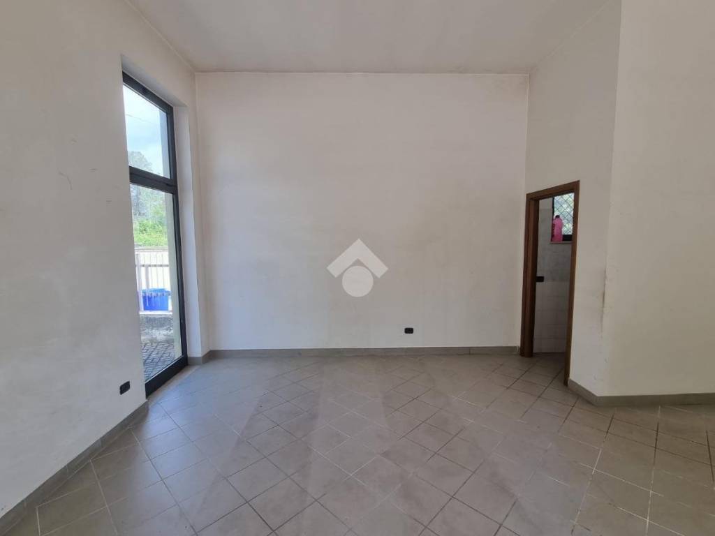 negozio in affitto a Cassino