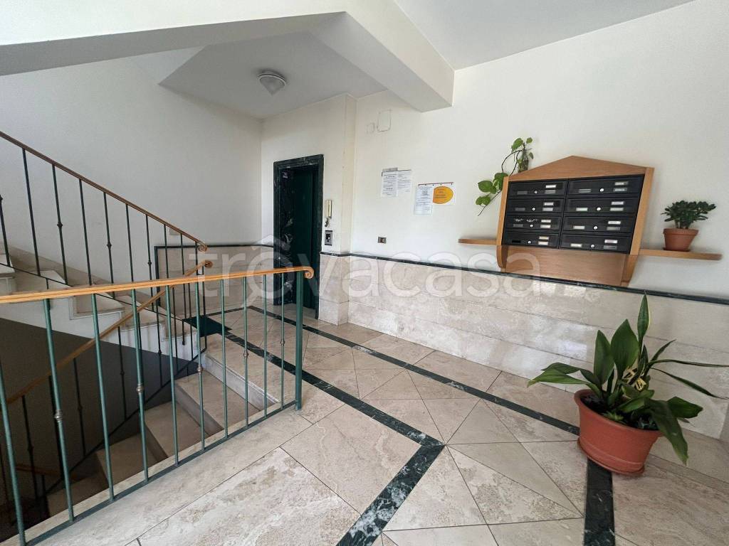 appartamento in affitto a Cassino