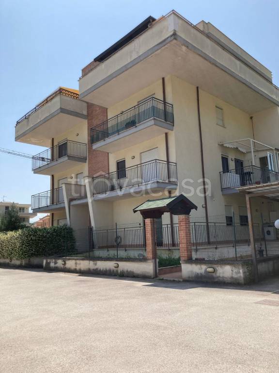 appartamento in affitto a Cassino