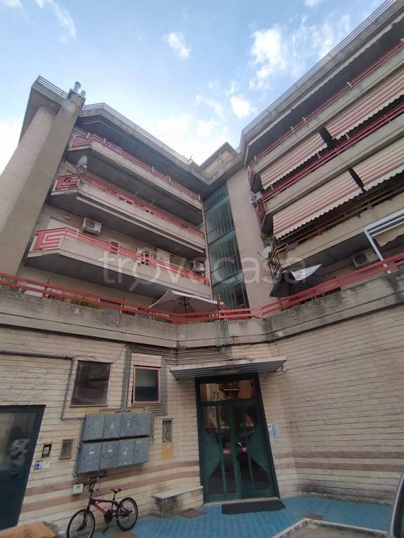appartamento in affitto a Cassino