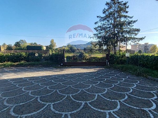 negozio in affitto a Cassino