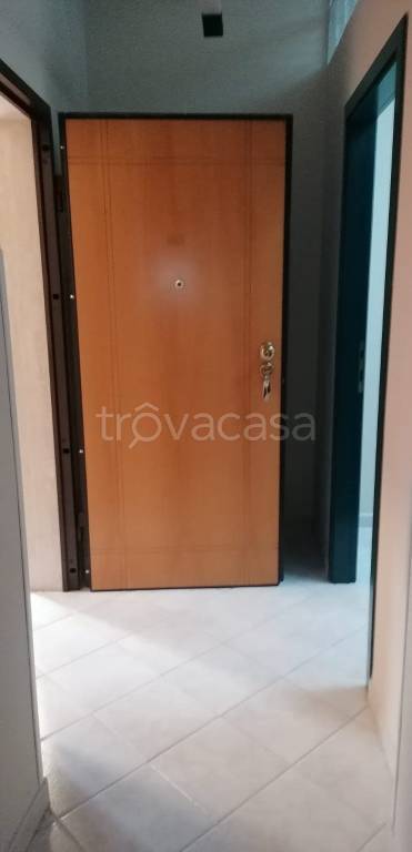 appartamento in affitto a Cassino