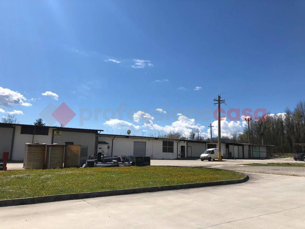 negozio in affitto a Cassino