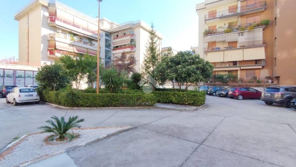 appartamento in affitto a Cassino