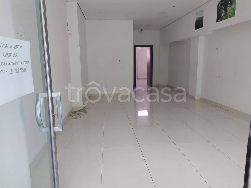 negozio in affitto a Cassino