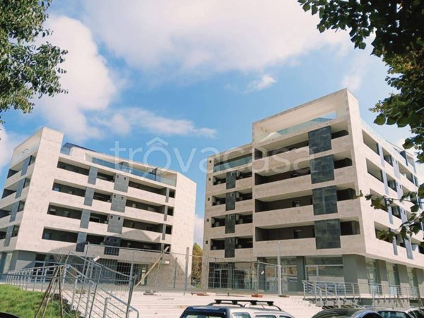 appartamento in affitto a Cassino