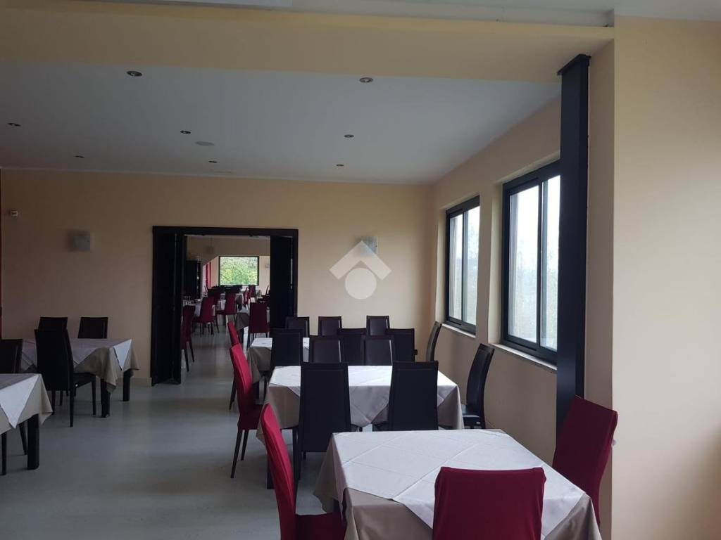 negozio in affitto a Cassino in zona Montecassino
