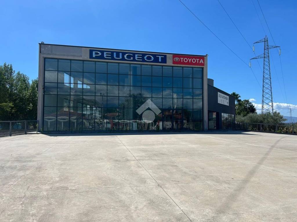 negozio in affitto a Cassino