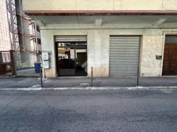 negozio in affitto a Cassino