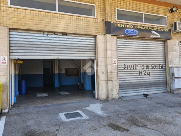 negozio in affitto a Cassino