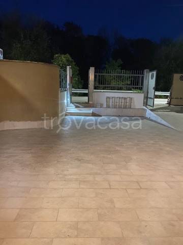 appartamento in affitto a Cassino