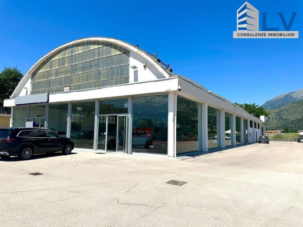 negozio in affitto a Cassino