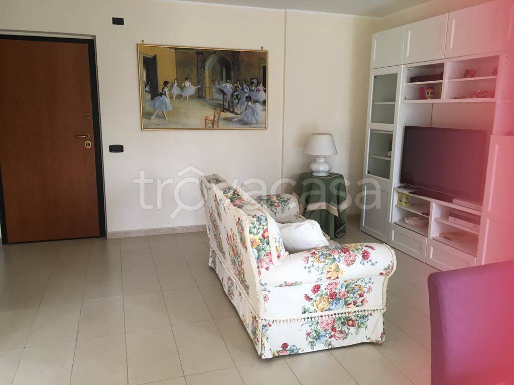 appartamento in affitto a Cassino