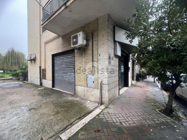 negozio in affitto a Cassino