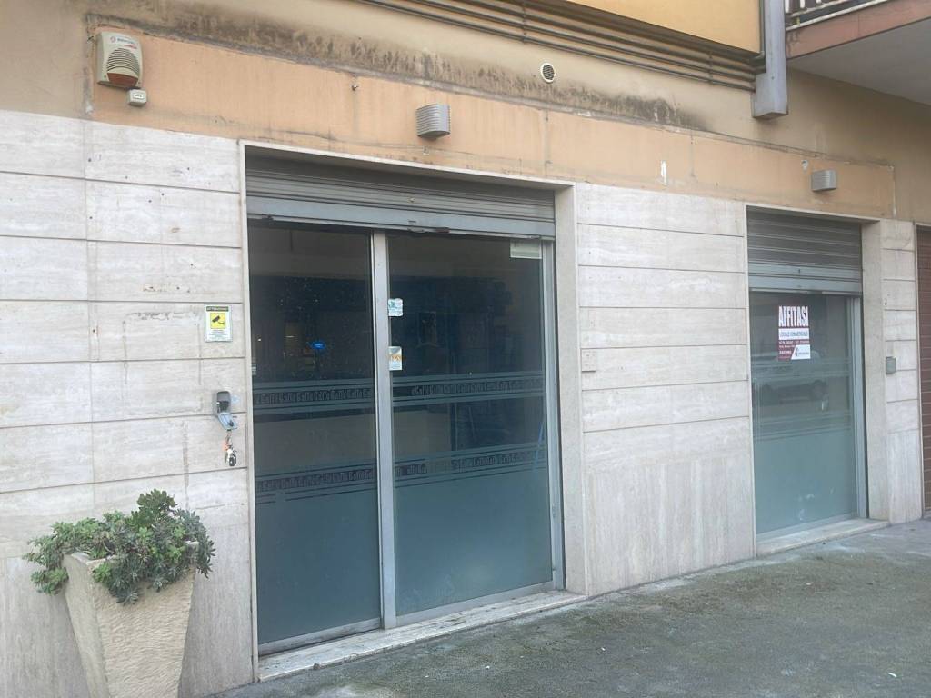 negozio in affitto a Cassino