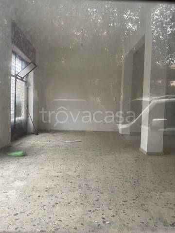 negozio in affitto a Cassino