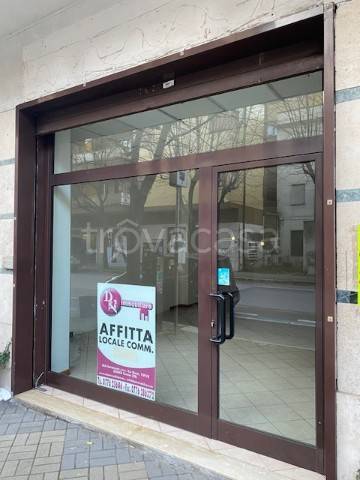 negozio in affitto a Cassino