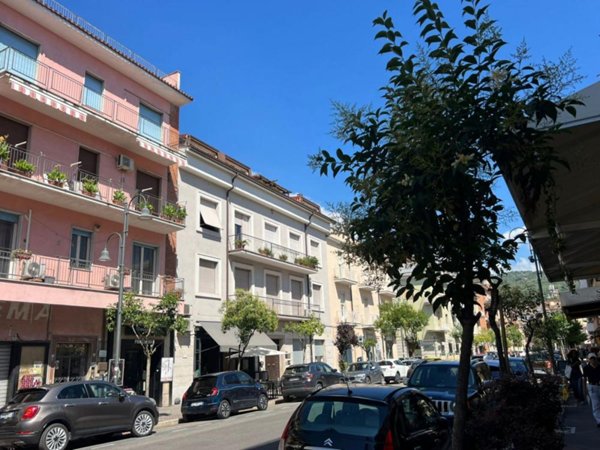 negozio in affitto a Cassino