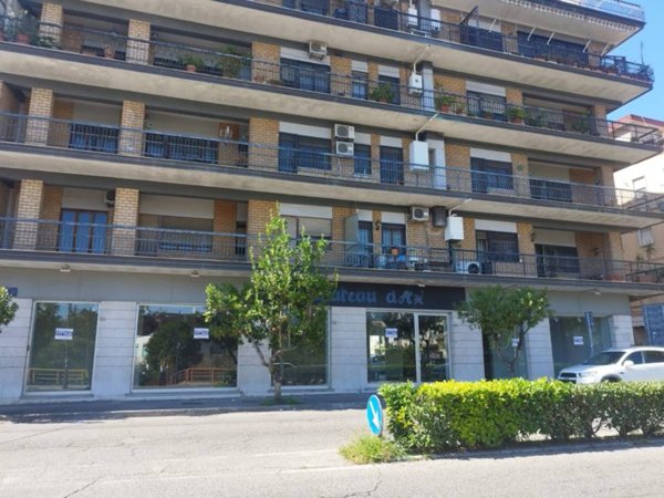 negozio in affitto a Cassino