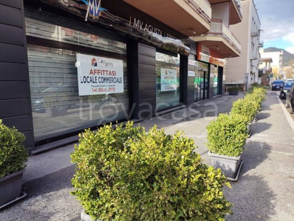 negozio in affitto a Cassino