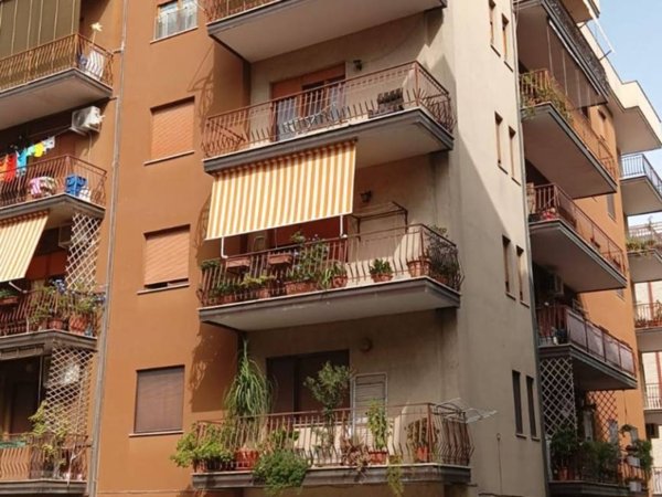 appartamento in affitto a Cassino