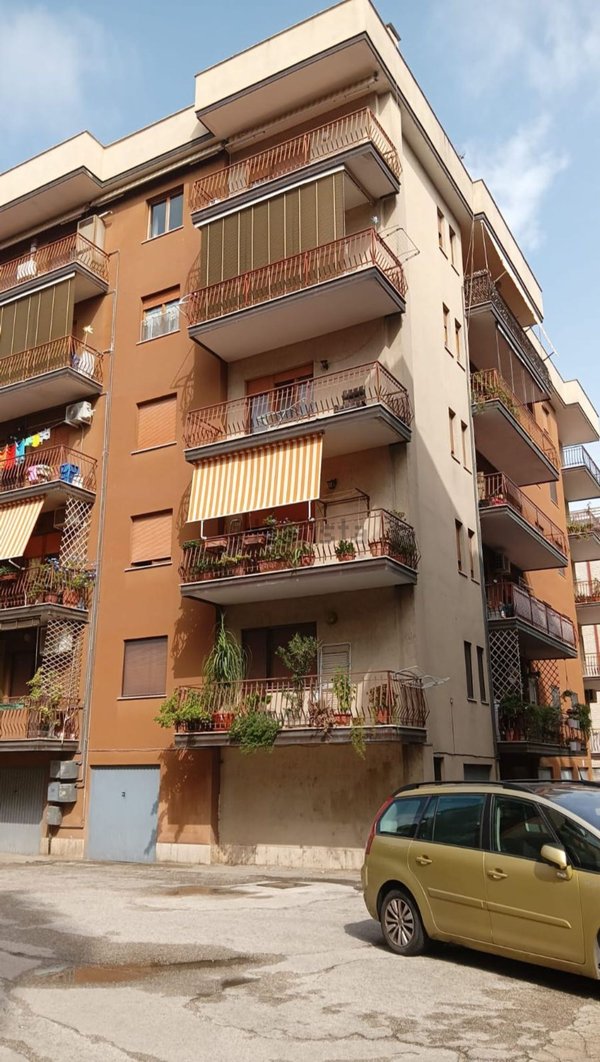 appartamento in affitto a Cassino