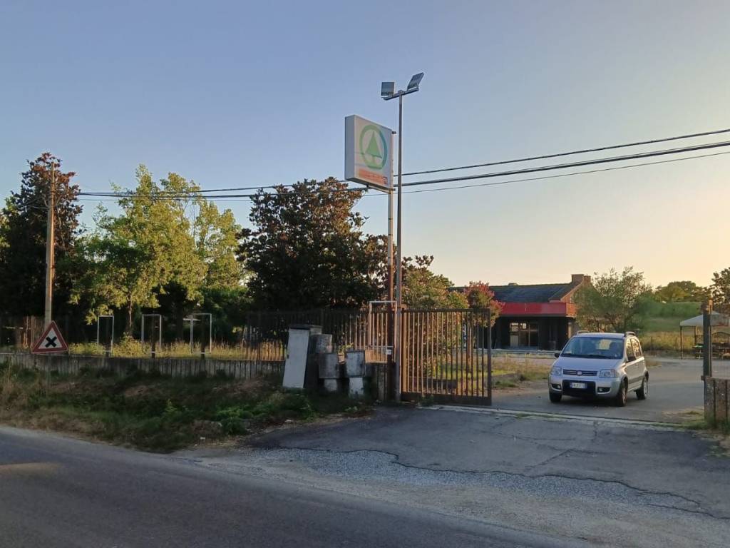 negozio in affitto a Cassino
