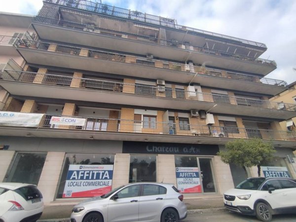 negozio in affitto a Cassino
