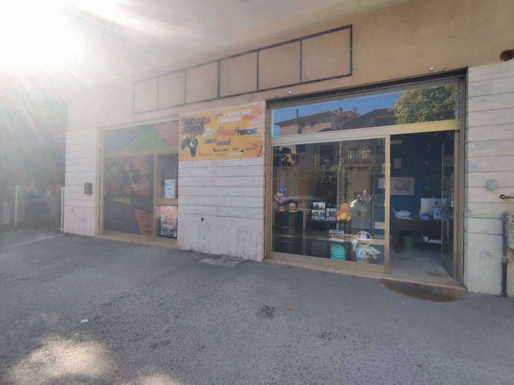negozio in affitto a Cassino