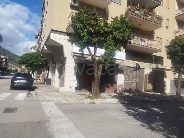 negozio in affitto a Cassino