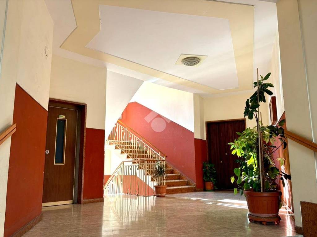 appartamento in affitto a Cassino