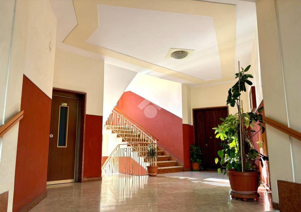 appartamento in affitto a Cassino