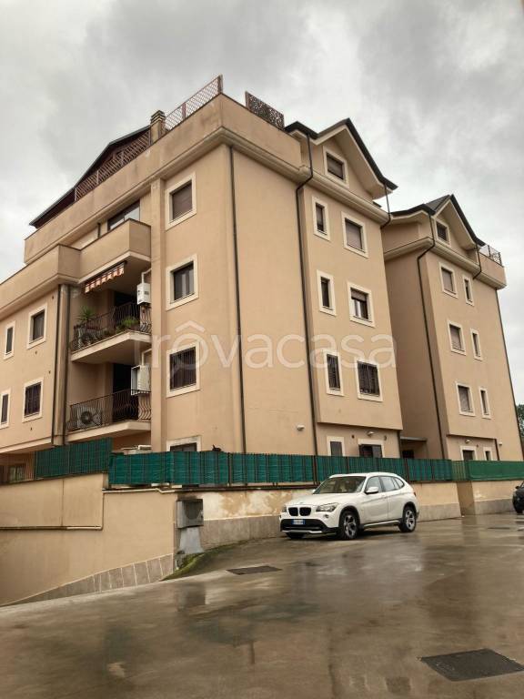 appartamento in affitto a Cassino