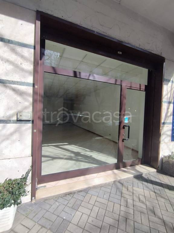 negozio in affitto a Cassino