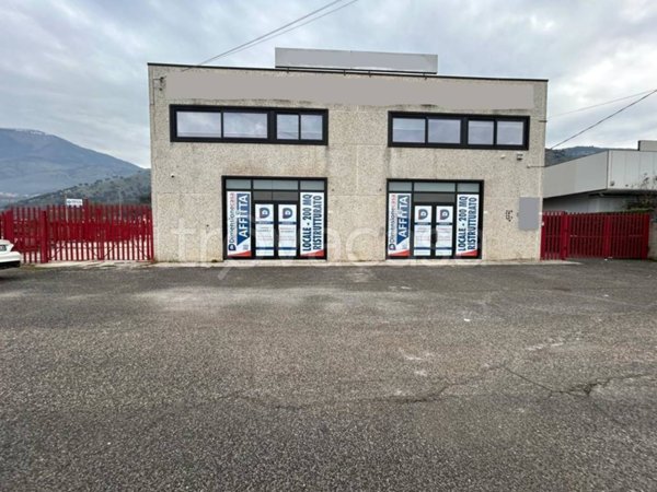 negozio in affitto a Cassino