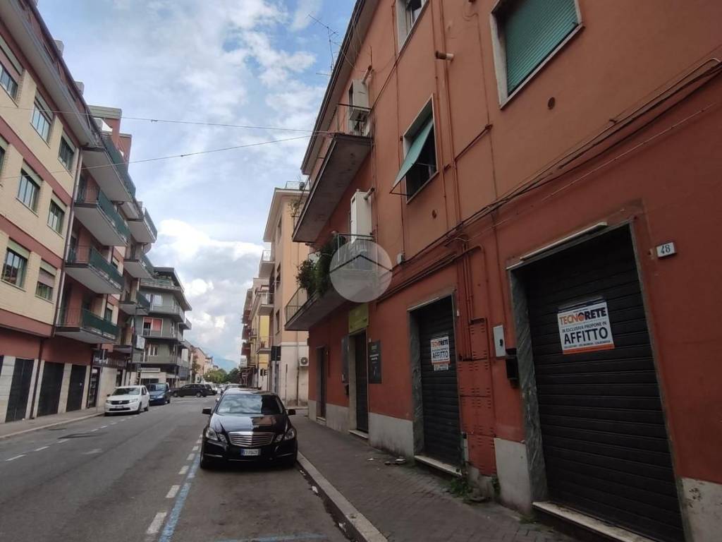 negozio in affitto a Cassino