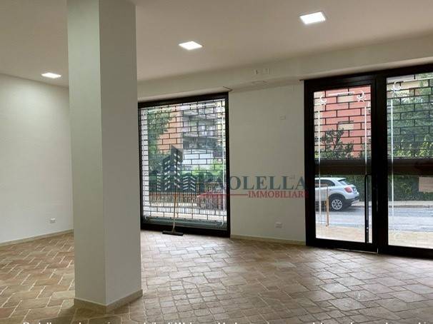 negozio in affitto a Cassino