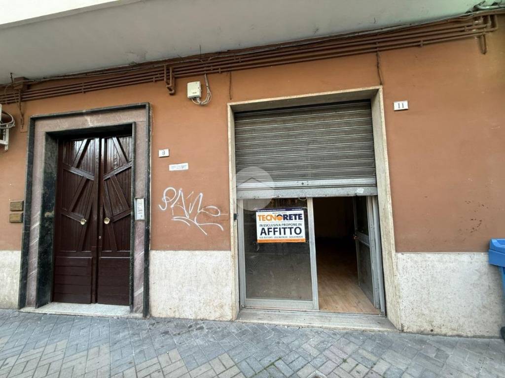 negozio in affitto a Cassino