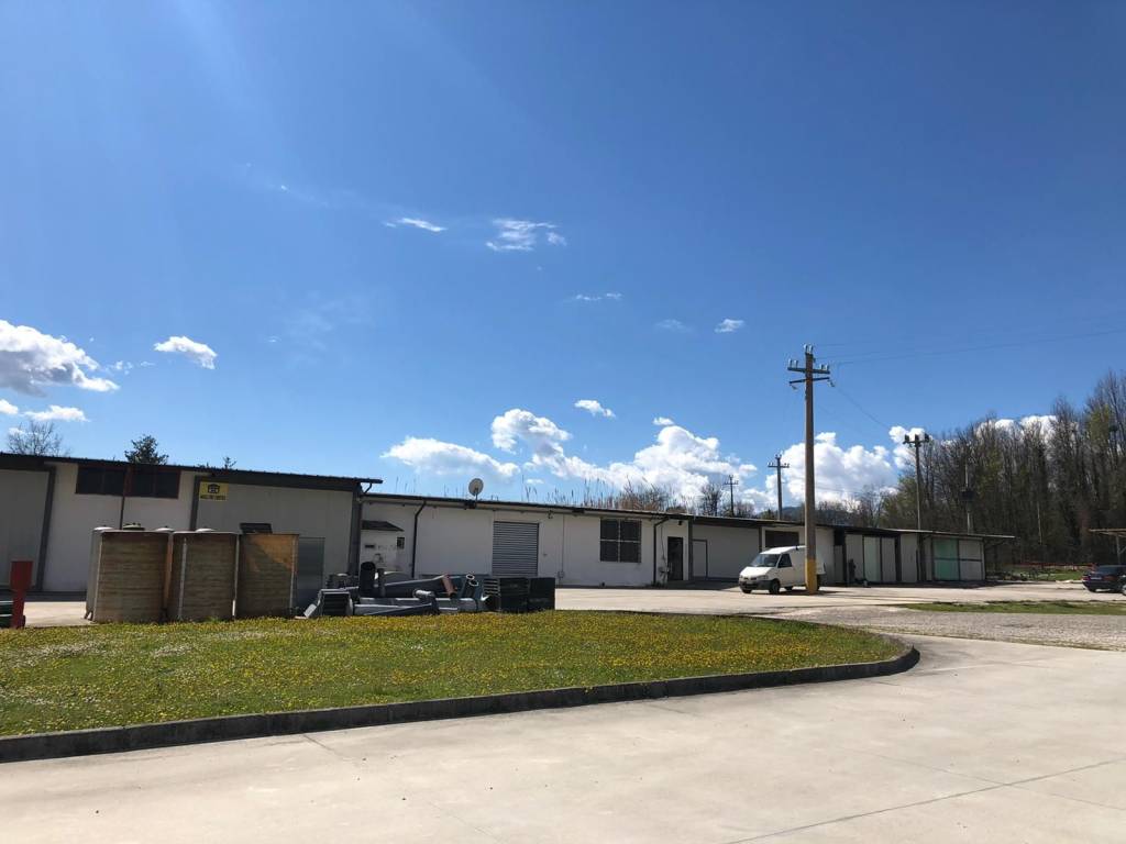 negozio in affitto a Cassino